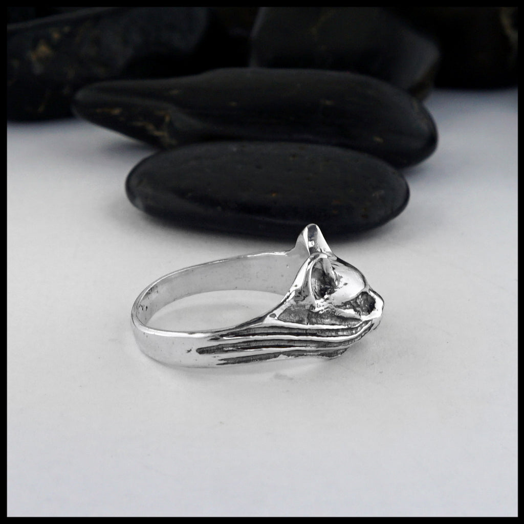 cat ring 