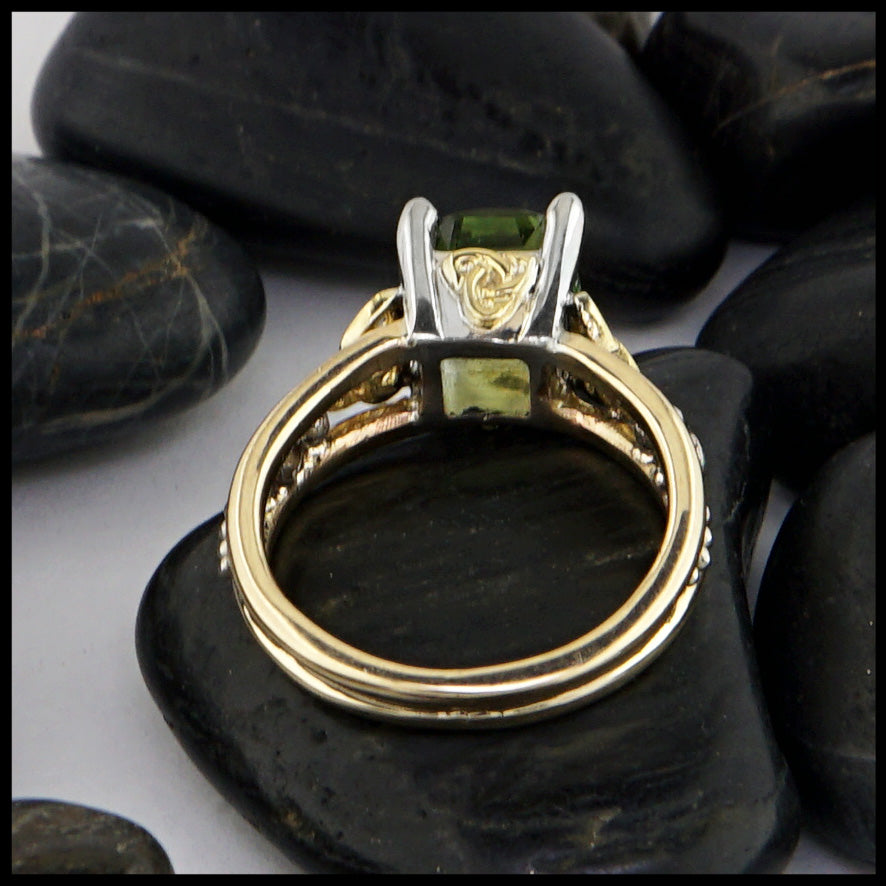 rear view of ring 